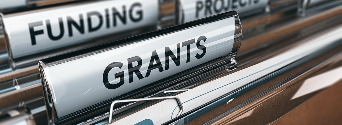 Government folder showing a grants tab.